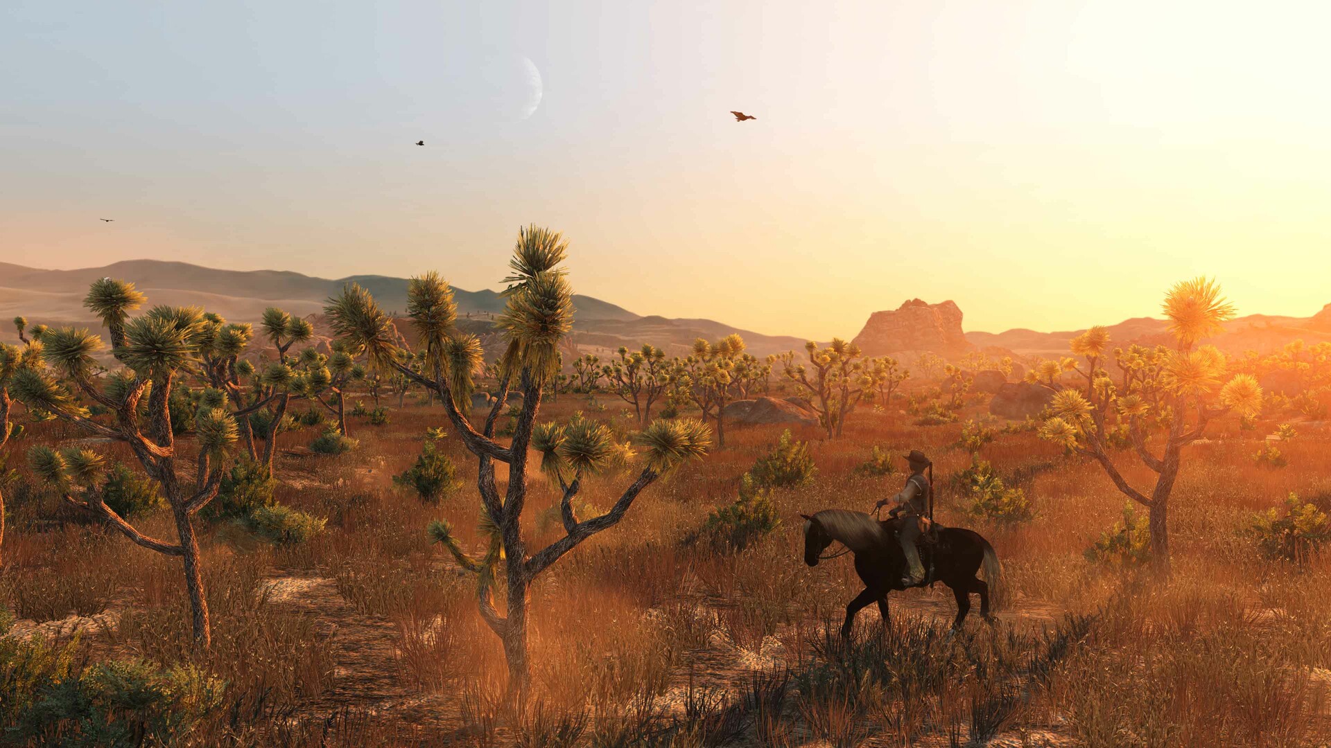 Red Dead Redemption : grandes plaines désertiques de Nuevo Paraíso