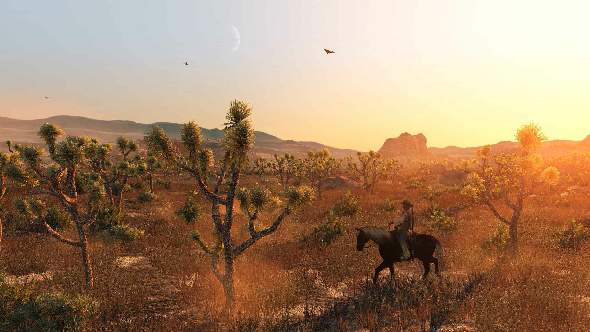 Red Dead Redemption : grandes plaines désertiques de Nuevo Paraíso